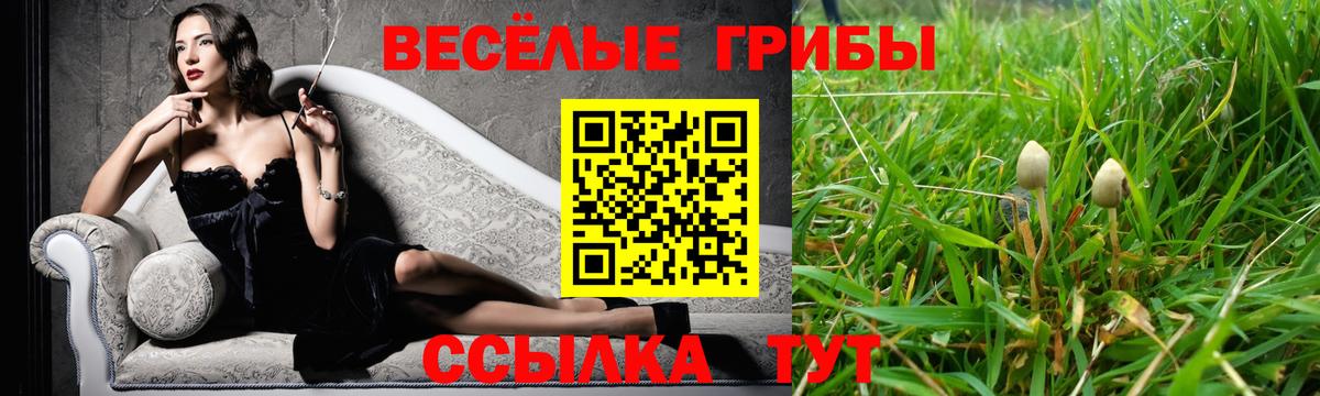 Псилоцибиновые грибы Magic Shrooms  Вход с VPN  Карачаевск 